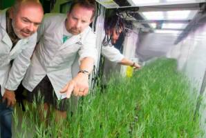 New research centre set to secure food for the future