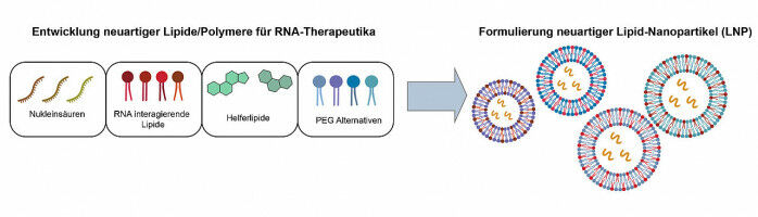 New Research Network on RNA Medicine