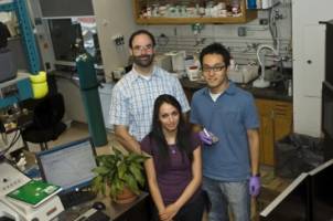 New self-assembling photovoltaic technology that repairs itself