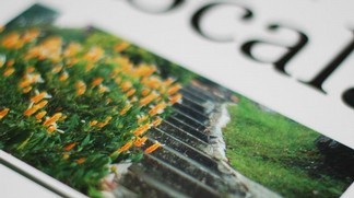 � Flickr / formalfallacy / Creative Commons