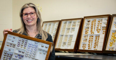 New sustainability projects at Western get seed money