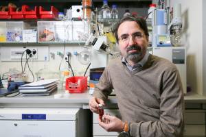 New synthetic molecule can kill the flu virus