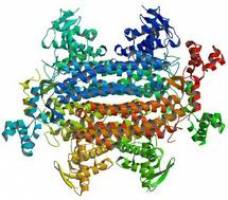 New test for rare form of cancer