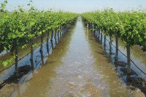 New tool aims to amplify groundwater with floodwater
