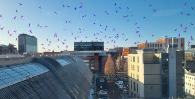 New tool could reduce collision risk for Earth-observation satellites