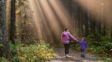 New tool incorporates social value into post-secondary procurement practices