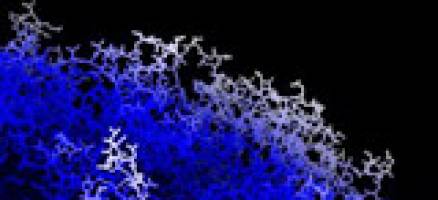 New vaccine to assist worldwide eradication of polio