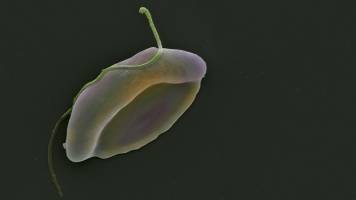 Nicolas Brancucci Appointed Professor at the University of Basel