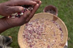 No evolution in thinking in 'Food Evolution'