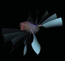 No Motor, No Battery, No Problem