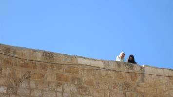 Non-Communicable Diseases on the Rise in the Middle East