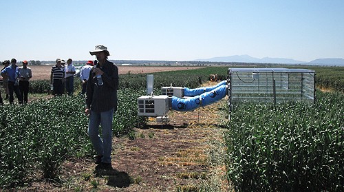 The researchers used field chambers - boxes that simulate heatwaves - for their 