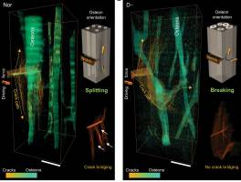 Of Aging Bones and Sunshine