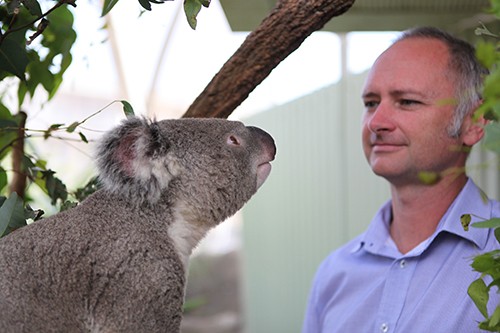 Dr Higgins is director of the Koala Health Hub which will provide koala carers w