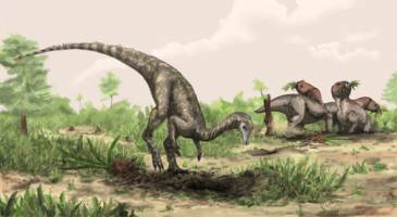 Oldest dinosaur - or closest relative yet