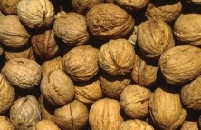 Walnuts. � INRA, WEBER Jean