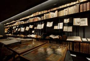 On show - and specially conserved