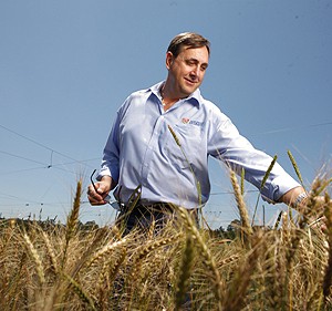 The Plant Breeding Institute is working on making bread healthier and more nutri