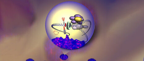 On the Trail of a Rare Disease