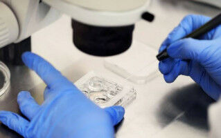 One in five women become pregnant naturally after having a baby conceived with IVF