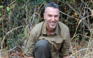 Opinion: Chimpanzees rub insects on wounds - suggesting treating others may not be uniquely human