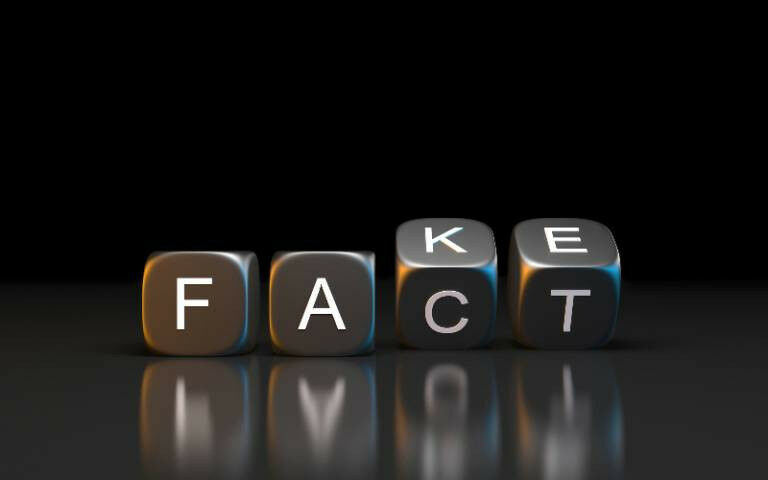 A line of blocks that read &rsquo;fake fact&rsquo;