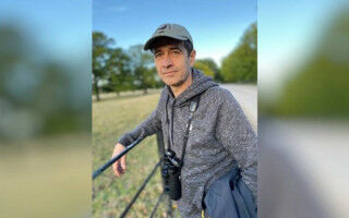 Opinion: One in six UK species threatened with extinction - here's what we could lose