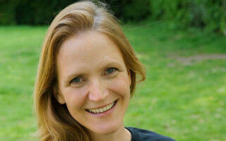 Opinion: Plagues of wasps? Why you shouldn't panic about rumours of rising populations