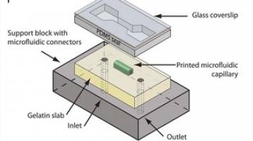 Optimized 3D inkjet printing process of hydrogels.