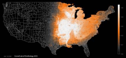Ornithology lab plays role in 2011 State of the Birds report