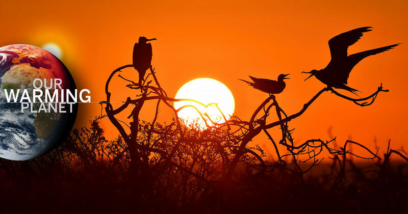 Western s Robert Buchkowski and Scott MacDougall-Shackleton see the impacts of c