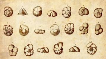 Paleoclimatology - revisiting a tiny prehistoric witness