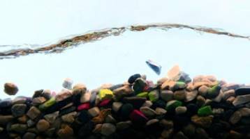 Pebbles that Disrupt Landscapes