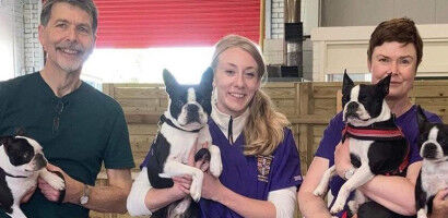 Pekingese, Shih Tzu and Staffordshire Bull Terrier among twelve dog breeds at risk of serious breathing condition