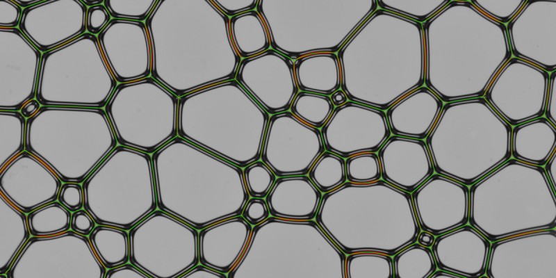 Credit: Anthony Chieco