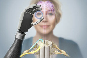 Perceiving bionic limbs like your own