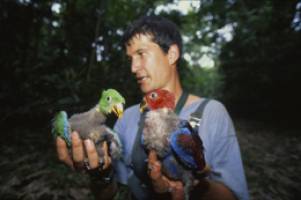 Perched with the parrots