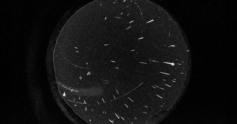 Perseids captured in 2020 by a Global Meteor Network camera based in Colorado. I
