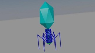 � 2012 par julalexmil