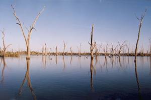 Philosophies of water and land