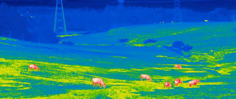 'Picturing the Invisible'