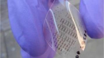 Plastic electronics: a neat solution