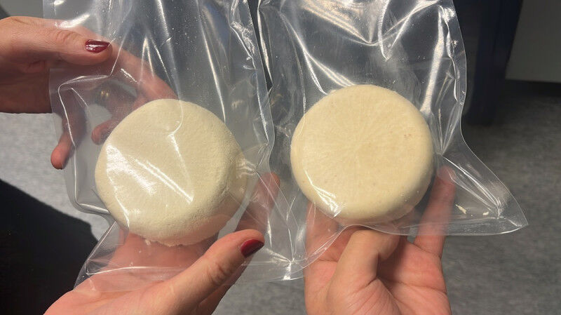 Freshly produced hybrid paneer (credit: University of Copenhagen)