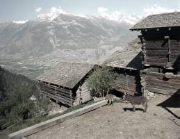 Preserving alpine architecture through drawings