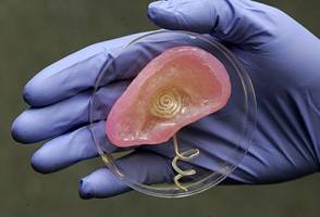 Printable 'bionic' ear melds electronics and biology