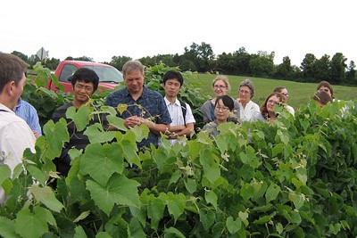 Peter Cousins leads a tour for VitisGen participants.