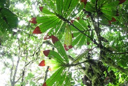 Photo by lana.japan on Flickr.