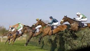 Racehorses to benefit from intensive care unit