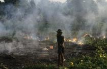 A farmer in West Kalimantan (Indonesian Borneo) uses fire to clear rainforest fo