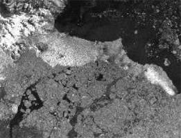 Rapid ice shelf disintegration in Antarctic